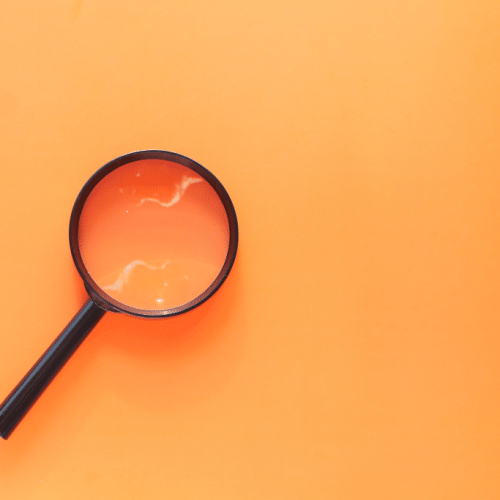 Todo empresário ou empreendedor deveria saber o que é LOI, MOU e NDA, e quando utilizar.